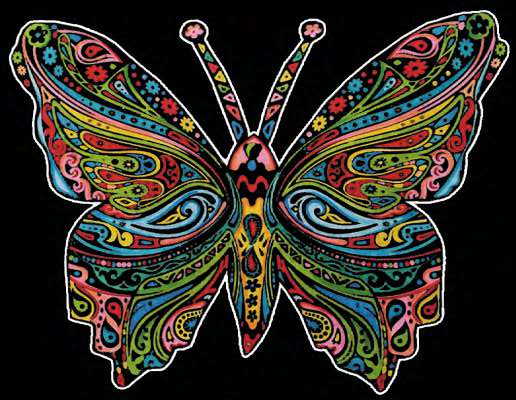 Butterfly