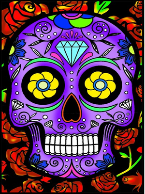 Variety Pack - Image 5